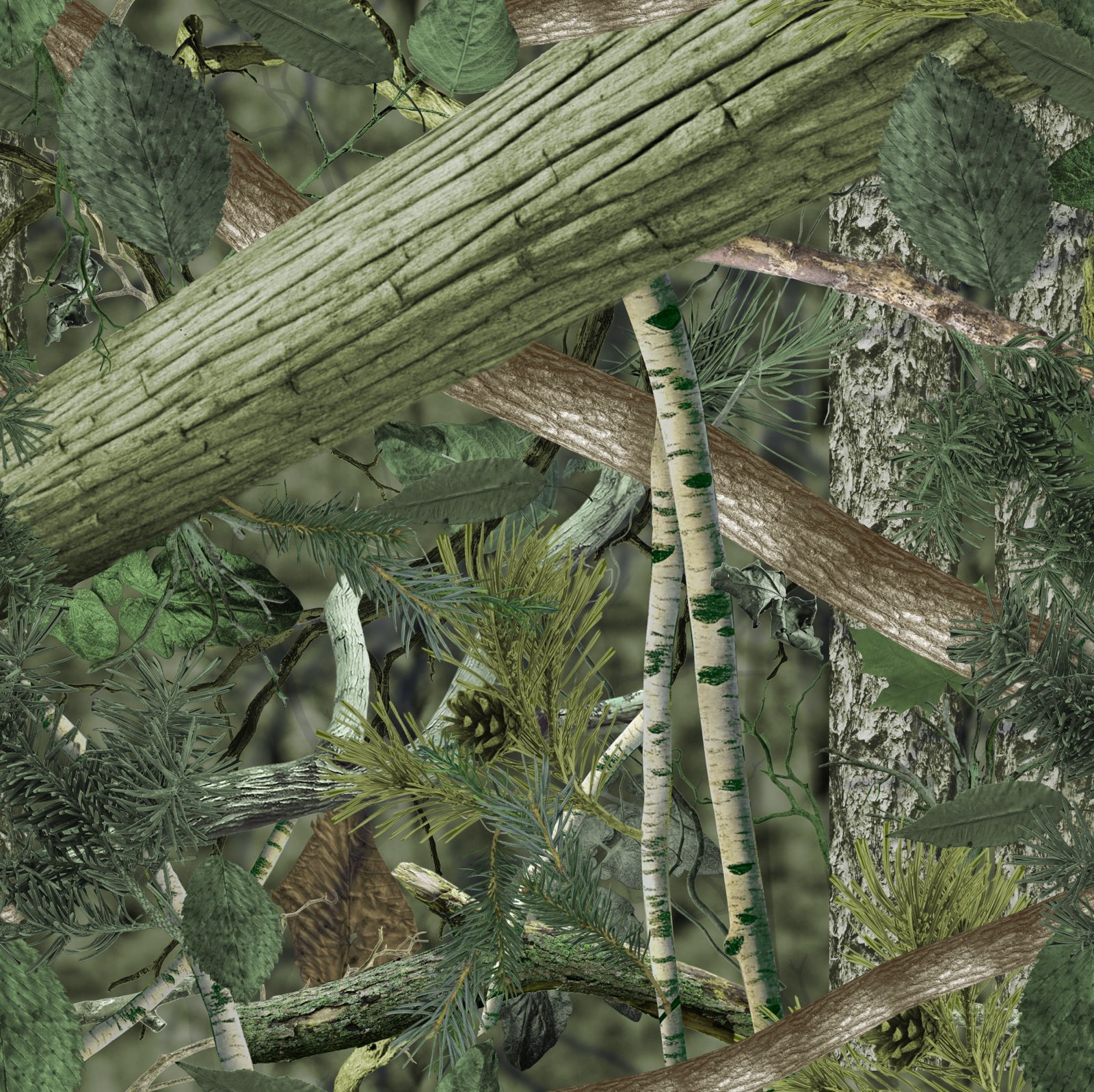 Forest Land, Wet Green Collection